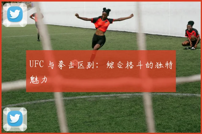UFC 与拳击区别：综合格斗的独特魅力
