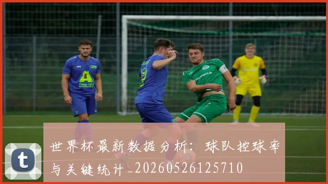世界杯最新数据分析：球队控球率与关键统计_20260526125710
