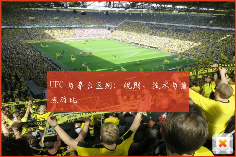 UFC 与拳击区别：规则、技术与看点对比