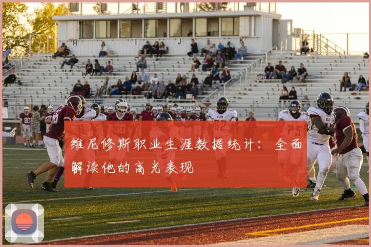 维尼修斯职业生涯数据统计:全面解读他的高光表现