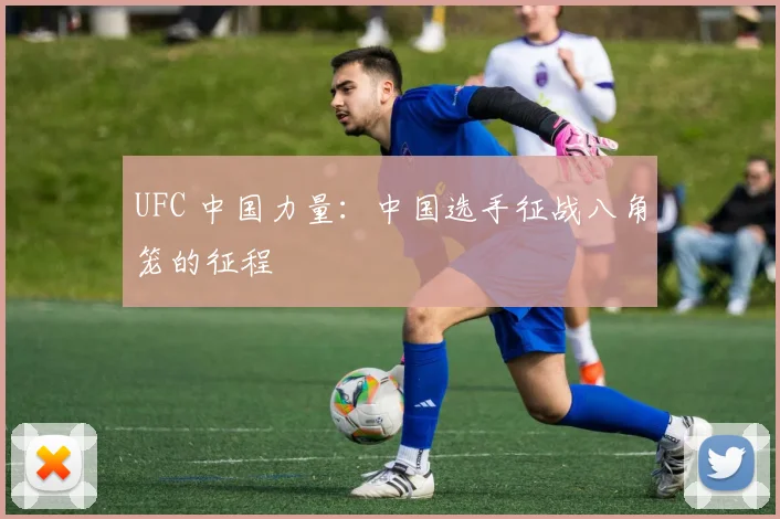 UFC 中国力量：中国选手征战八角笼的征程