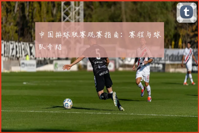 中国排球联赛观赛指南：赛程与球队介绍