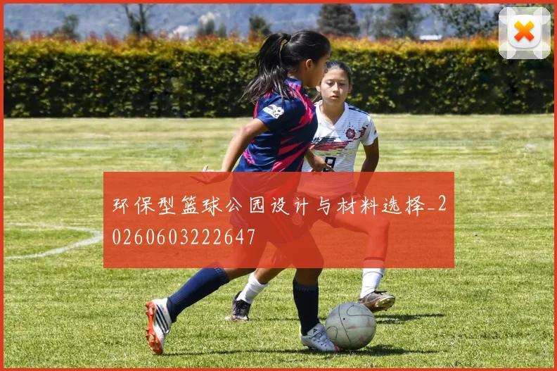 环保型篮球公园设计与材料选择_20260603222647