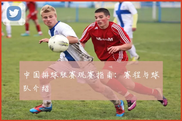 中国排球联赛观赛指南：赛程与球队介绍