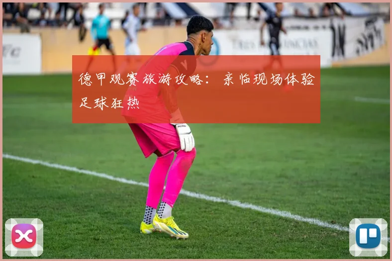 德甲观赛旅游攻略：亲临现场体验足球狂热